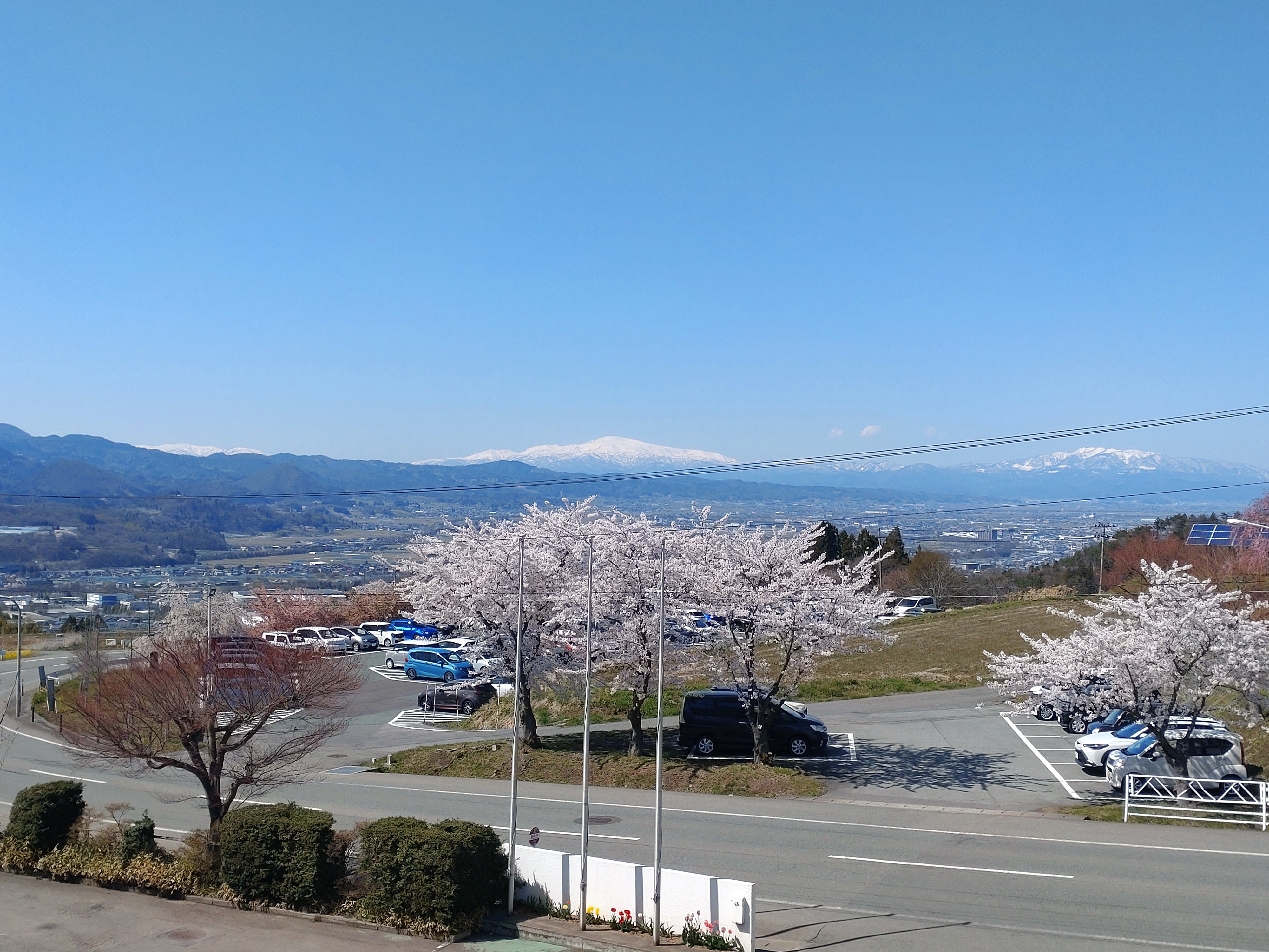 山笑う
