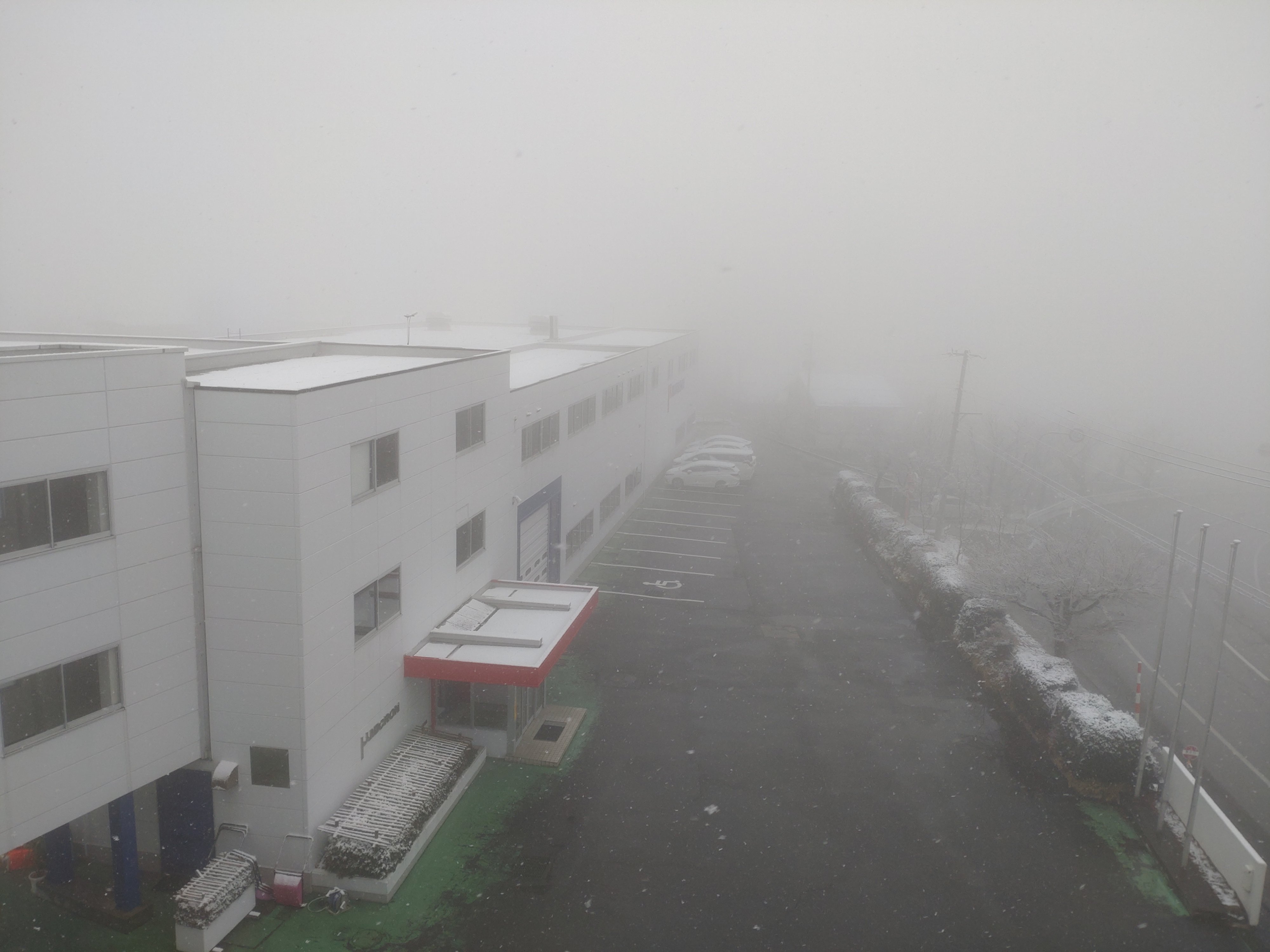 DSC_0081.JPG